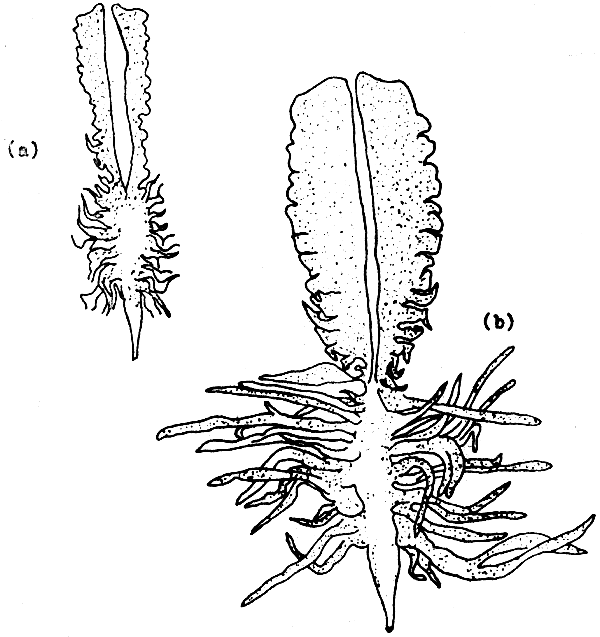 FIGURE 18