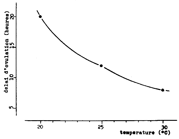 FIGURE 23