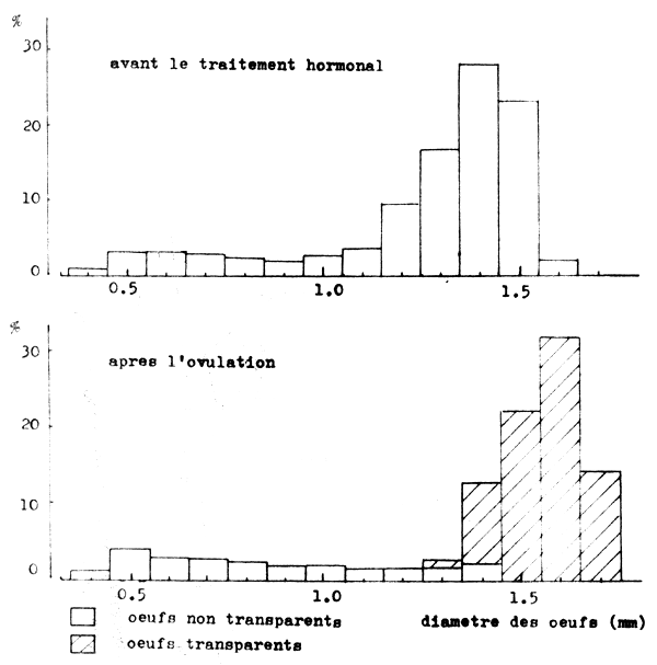 FIGURE 24