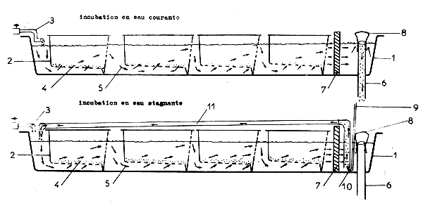 FIGURE 27