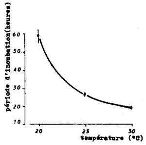 FIGURE 28