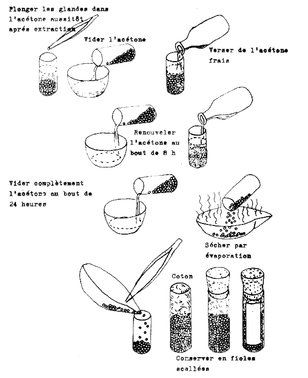 FIGURE 31