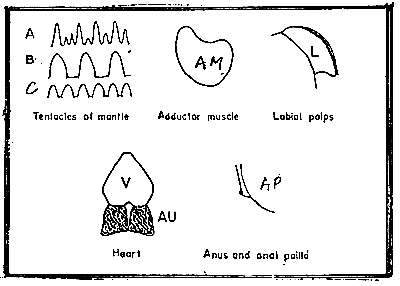 Figure 2-1