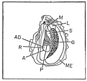 Figure 2-2