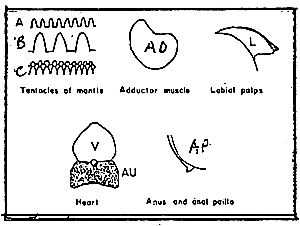 Figure 2-4