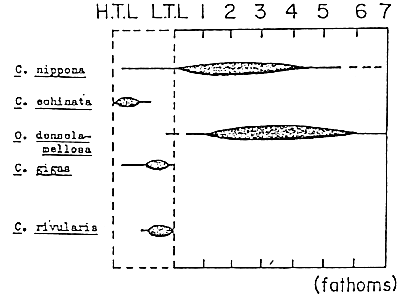 Figure 3-2