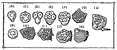 Figure 3-3