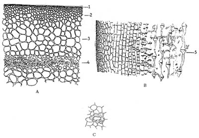 Fig. 1.10