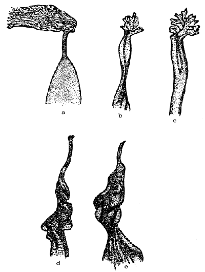 Fig. 9.2
