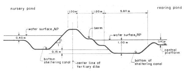 Fig13