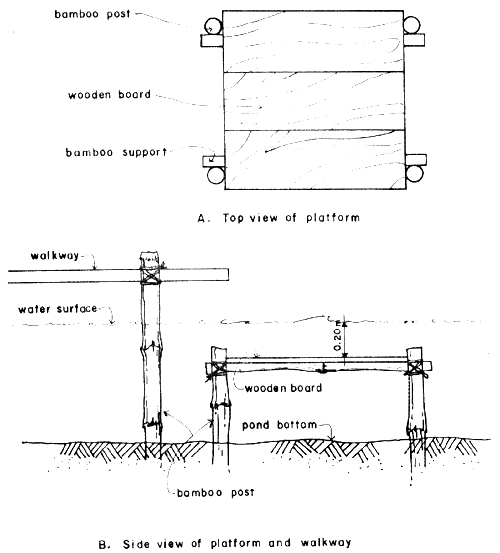 Fig36