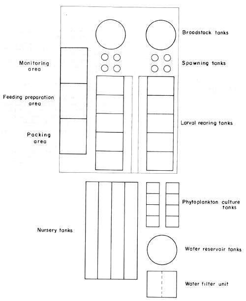 Fig.1.