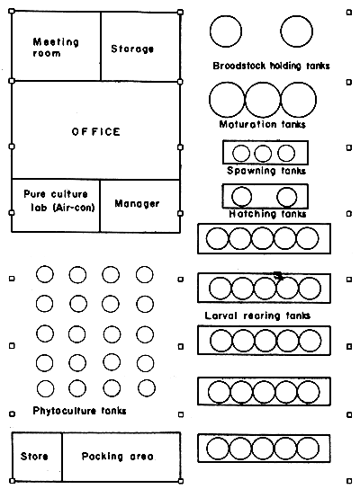 Fig.1.