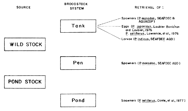 Fig.1.