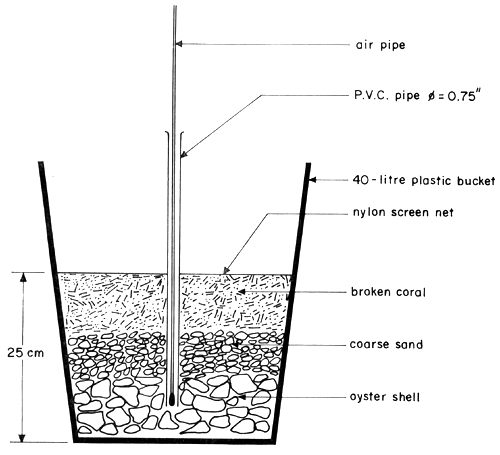 Fig.2.