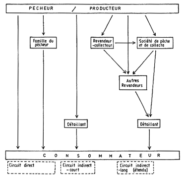 SCHEMA 1