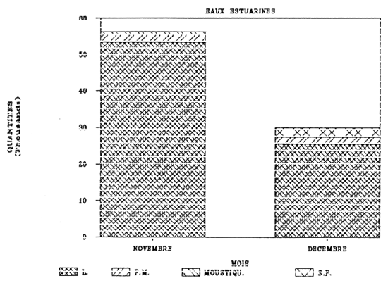 FIGURE 22