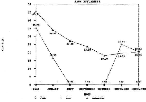 FIGURE 47