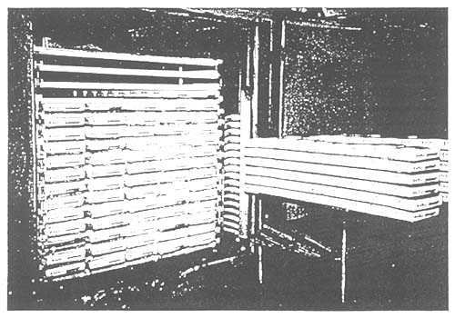 PLATE DEEP FREEZER IN SAIL FACILITIES