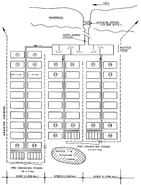 GROWING FARM : 500 ha