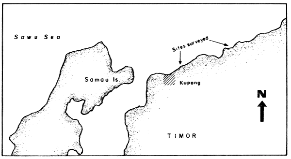 Fig. 13