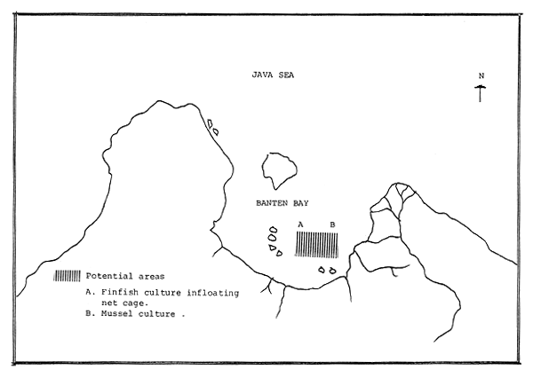 Fig. 24