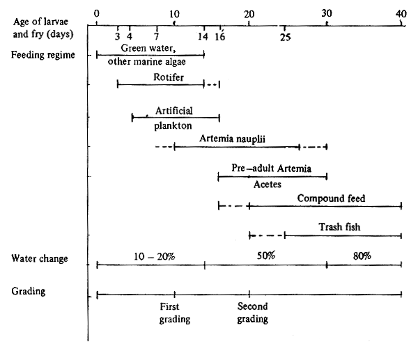 Fig. 12