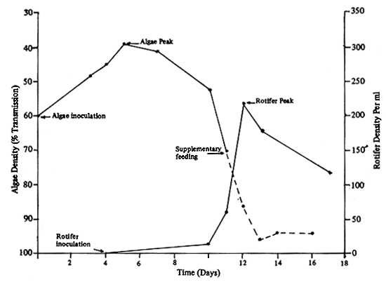 Fig. 19