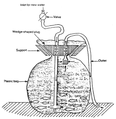 Fig. 23