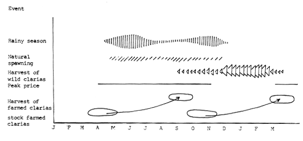 Fig. 17.