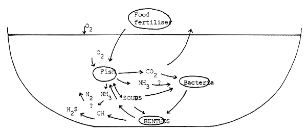 Fig. 20.