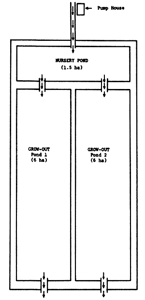 Figure 12.