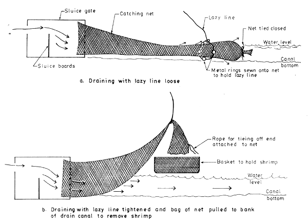 Figure 14.