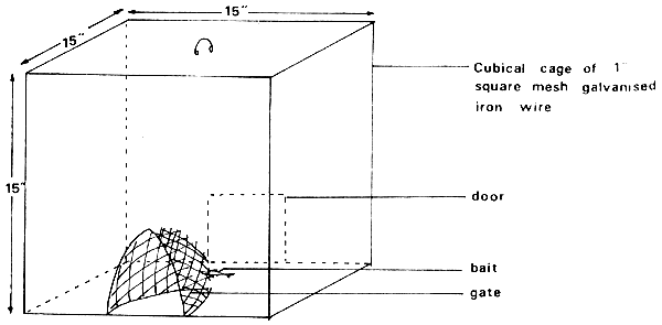 Fig. 11