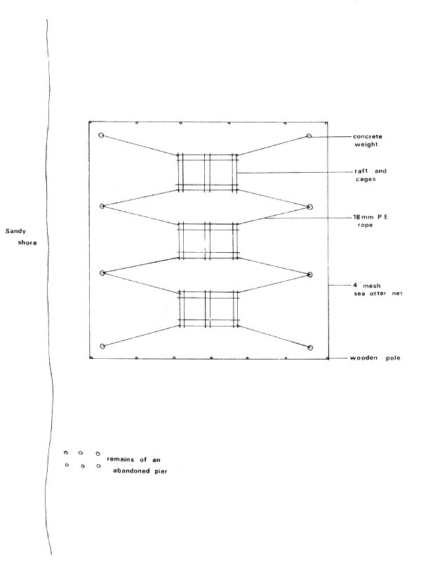 Fig. 12