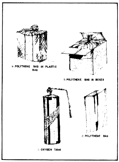 FIGURE 13.