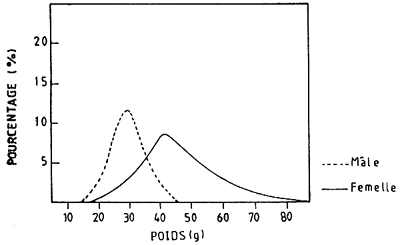 Fig.5