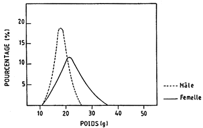 Fig.6