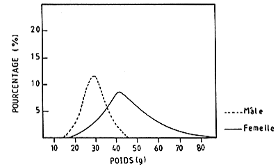 Fig.6