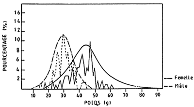 Fig.7