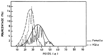 Fig.7