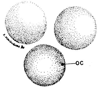 Fig 4.