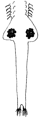 Fig. 14