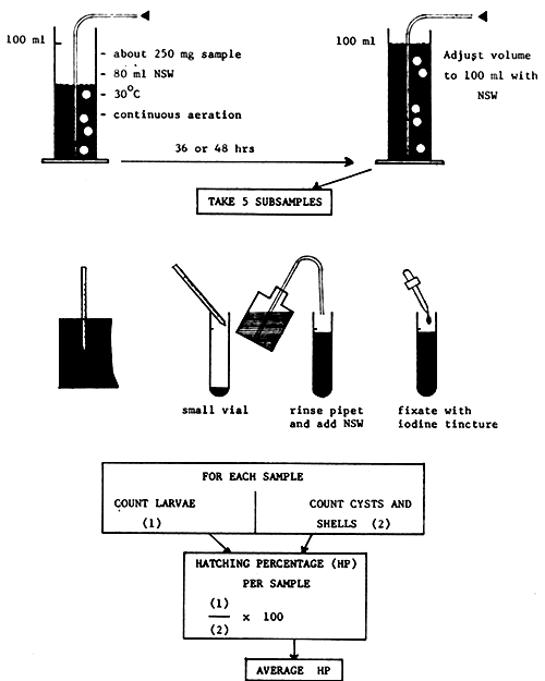 Fig. 19