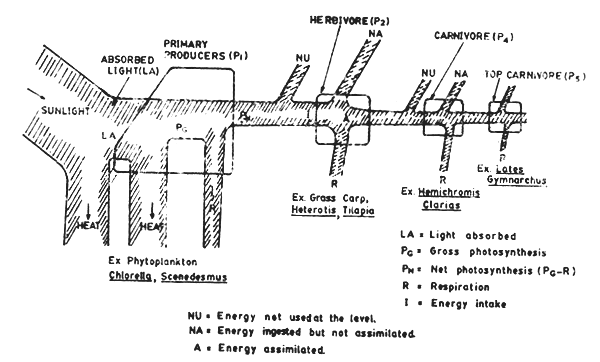 Fig. 10.2.