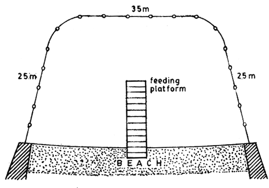 Fig.8a