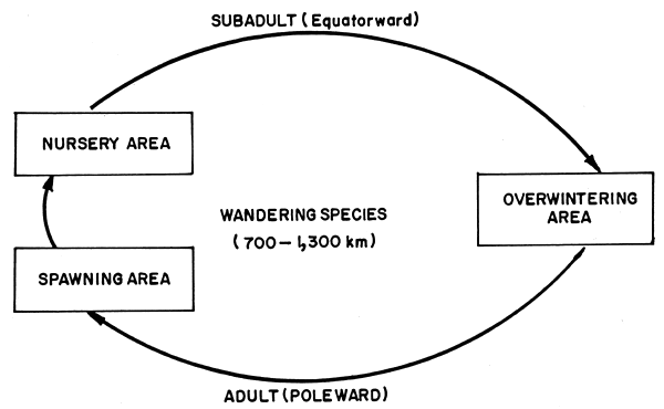 Fig. 14