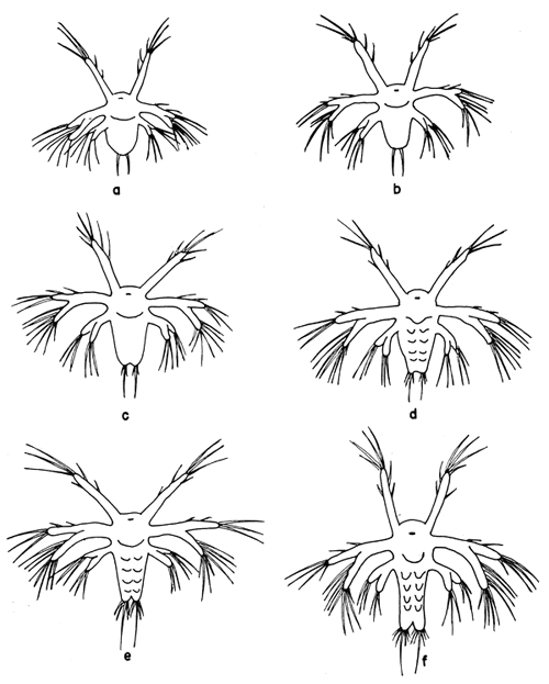 Fig. 16