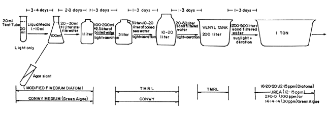 Fig. 21