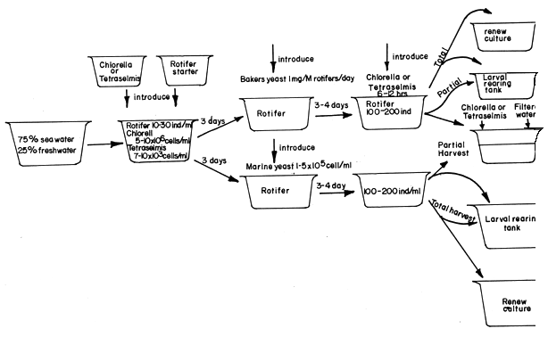 Fig. 22